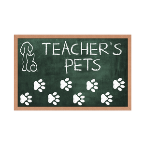 Teacher’s Pets